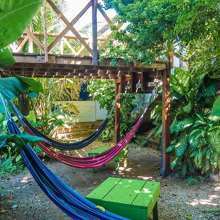 Ciao Cacao Hostel & Vegan Cafe ฟลอเรส ภายนอก รูปภาพ