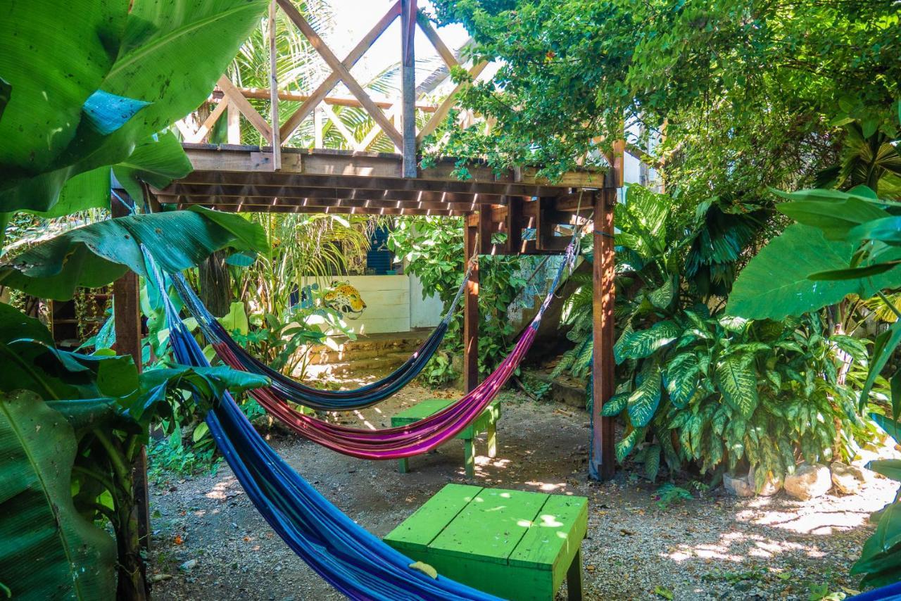 Ciao Cacao Hostel & Vegan Cafe ฟลอเรส ภายนอก รูปภาพ