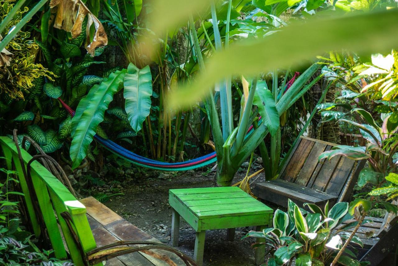 Ciao Cacao Hostel & Vegan Cafe ฟลอเรส ภายนอก รูปภาพ