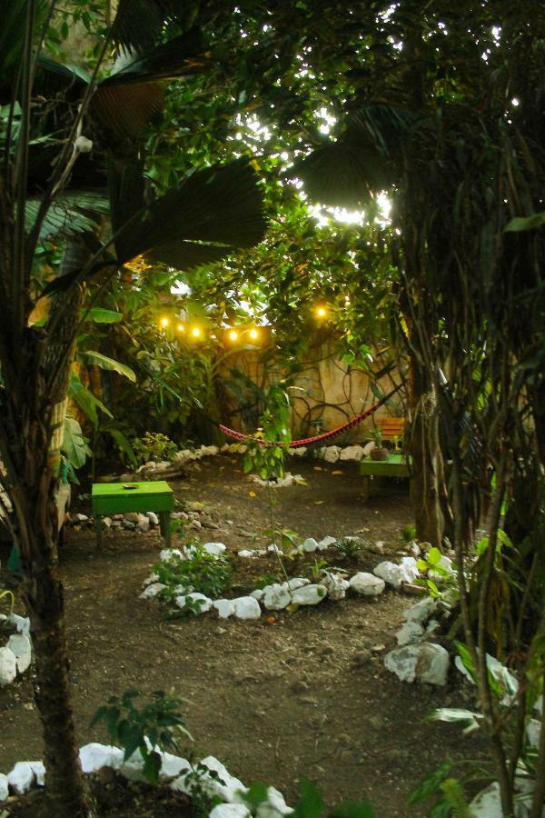 Ciao Cacao Hostel & Vegan Cafe ฟลอเรส ภายนอก รูปภาพ