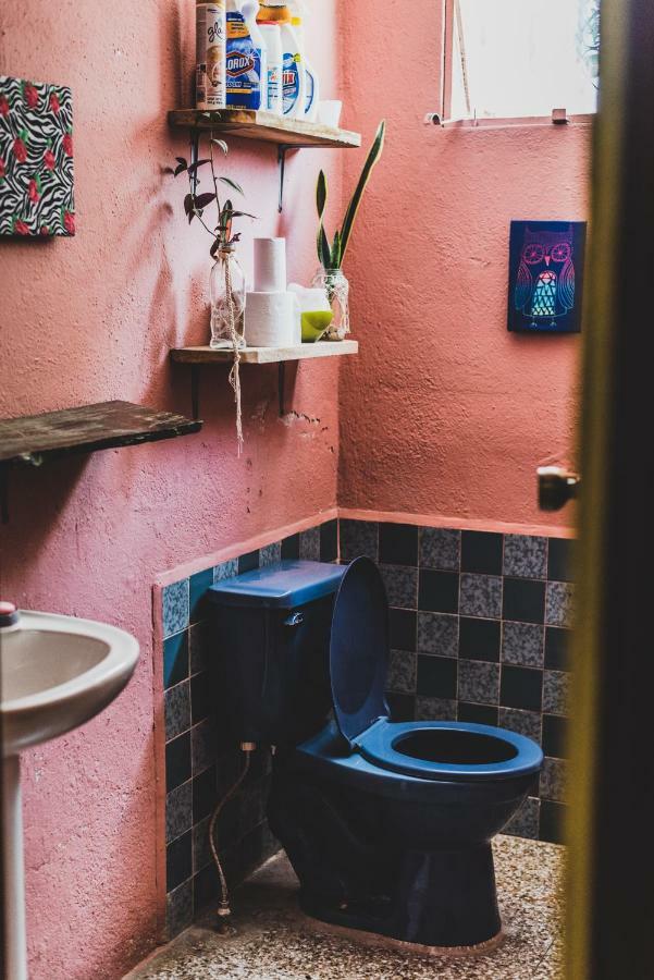 Ciao Cacao Hostel & Vegan Cafe ฟลอเรส ภายนอก รูปภาพ